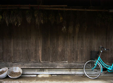 写真：西地区の住宅