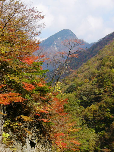 写真：行者還岳と紅葉