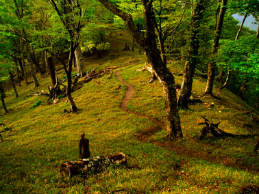 写真：登山道