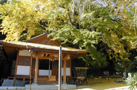 写真：来迎院